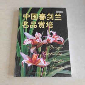 中国春剑兰名品赏培