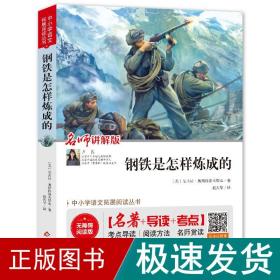 钢铁是怎样炼成的 七年级 无障碍阅读+中考考点 统编语文教材指定阅读丛书