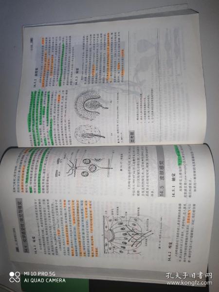 陈阅增普通生物学（第4版）