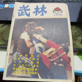 武林 武林杂志 1985 4 不缺页 南拳普及套路第三路 连环腿击法 雷仁生棍法之三 棍法技击六原则 八式保健操下