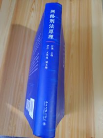 网络刑法原理（网络刑法体系教科书 陈兴良、梁根林、陈国庆、周加海专业推荐）