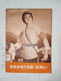 样板戏书籍《赞革命现代京剧杜鹃山》馆藏，小32开，铁橱内（5）