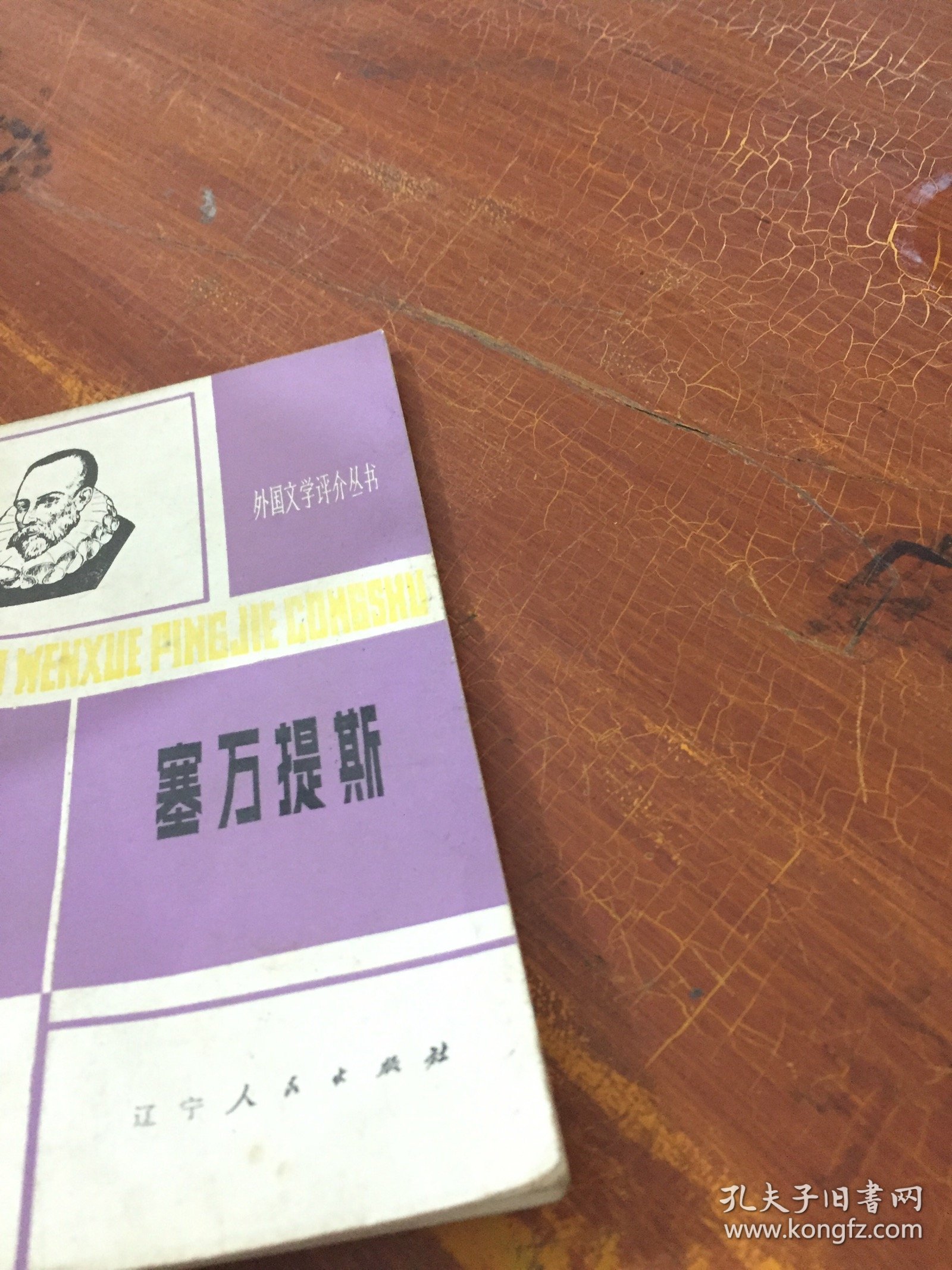 外国文学评价丛书：塞万提斯