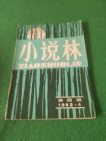 小说林1982年第4期