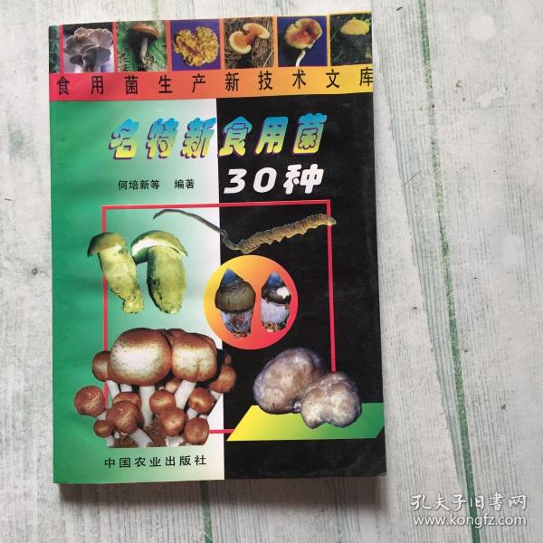 名特新食用菌30种——食用菌生产新技术文库