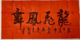 袁相富四尺整张《龙飞凤舞》