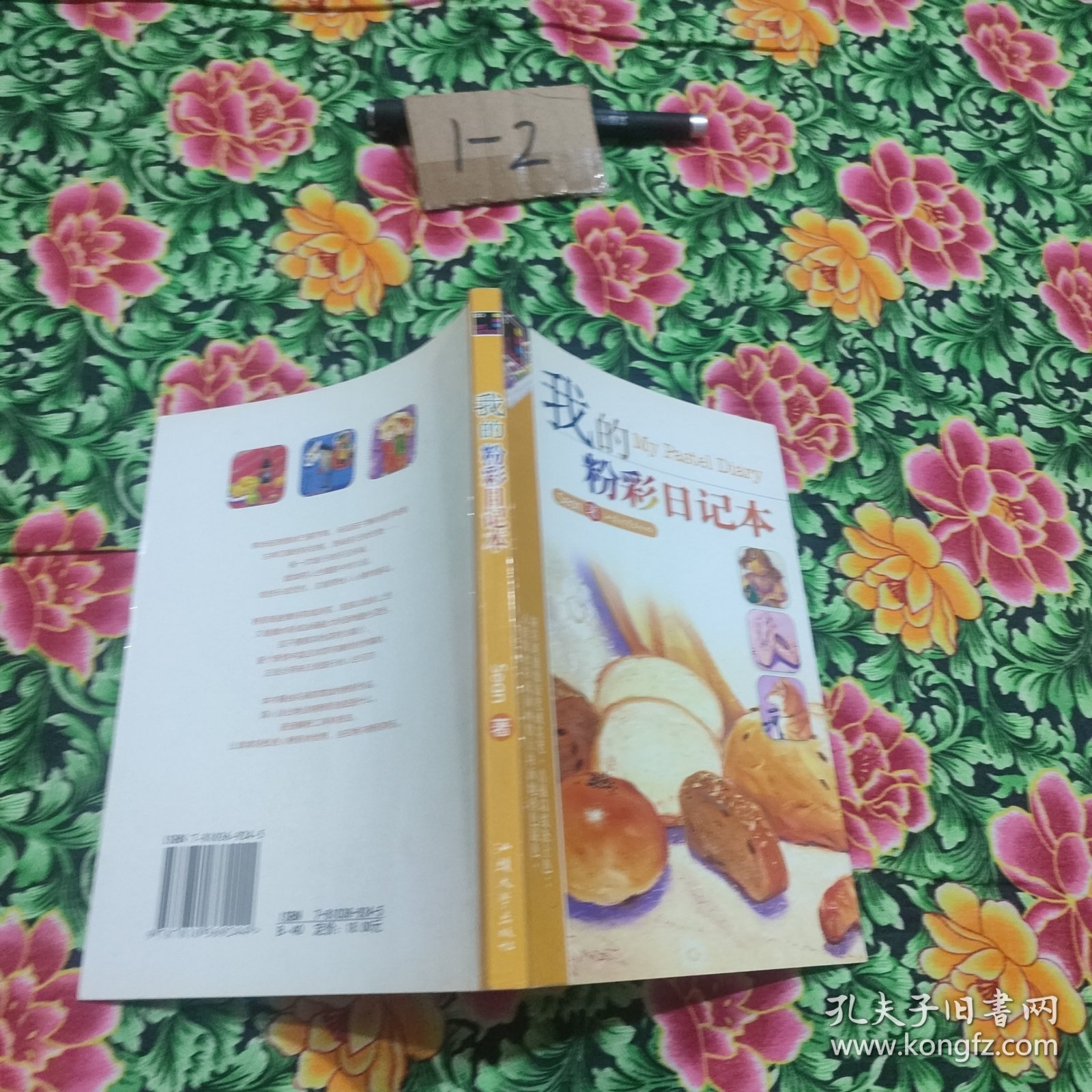 我的粉彩日记本