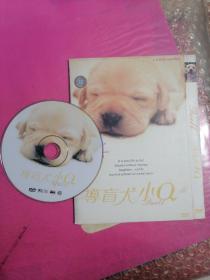 导盲犬小Q   DVD5