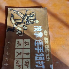 少林武功 擒拿 连手 短打