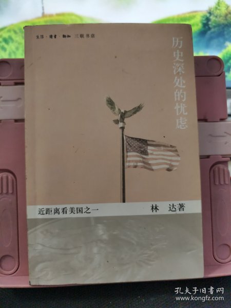 历史深处的忧虑：近距离看美国之一