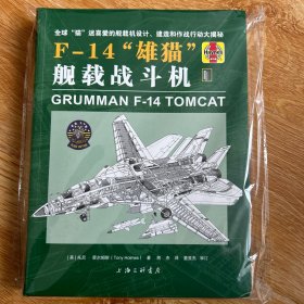 F-14“雄猫”舰载战斗机