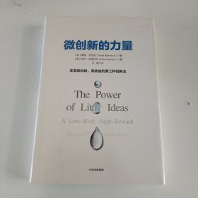 微创新的力量:实现低风险高收益的第三种创新法 美戴维·罗伯逊美肯特·莱恩巴克 著 孙碳 译