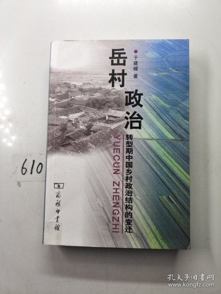 岳村政治：转型期中国乡村政治结构的变迁