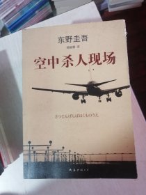 空中杀人现场