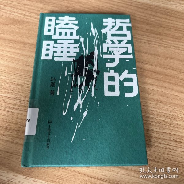 《哲学的瞌睡》（孙颙奇思小说系列 —太史公笔法书写奇人奇事：一场哗众取宠的国际论坛；一位哲学老教授旁若无人地睡着了……）