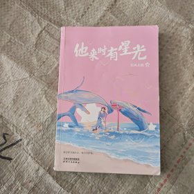 他来时有星光 青春言情火爆甜宠长篇小说