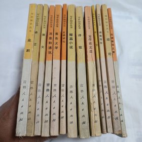 写作知识丛书（13册合售）