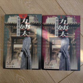 九姨太:中国家族小说