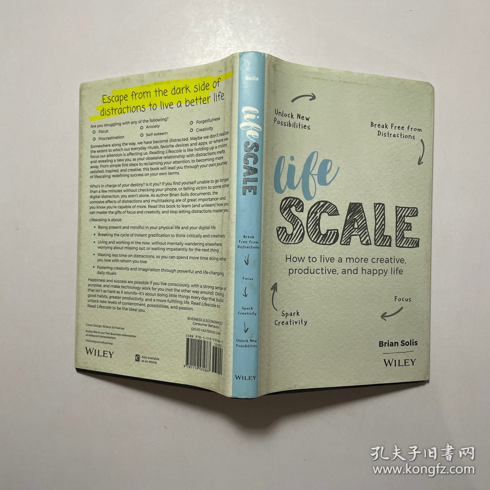 英文原版Lifescale: How to Live a More Creative, Productive, and Happy Life生活规模：如何过上更有创意、更高效、更幸福的生活