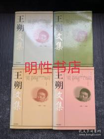 王朔文集（全4册合售）