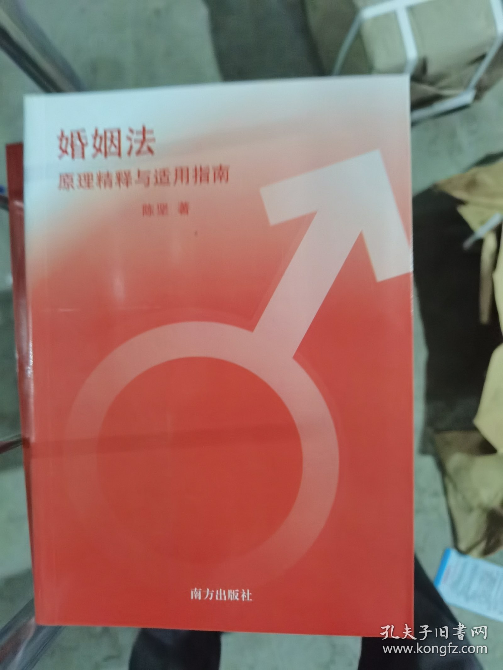 婚姻法原理精释与适用指南
