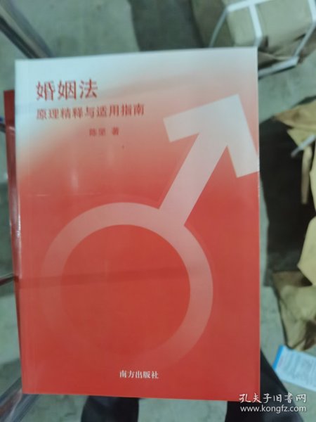 婚姻法原理精释与适用指南