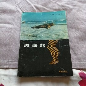 斑海豹