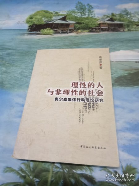 理性的人与非理性的社会：奥尔森集体行动理论研究