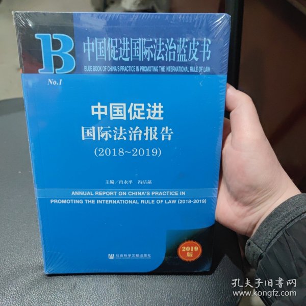 中国促进国际法治蓝皮书：中国促进国际法治报告（2018—2019）