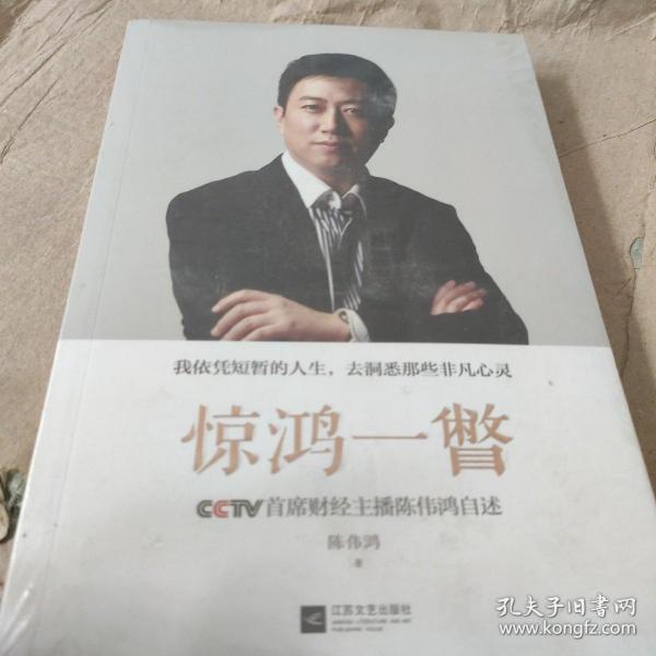 惊鸿一瞥：CCTV首席财经主播陈伟鸿自述