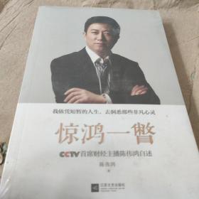 惊鸿一瞥：CCTV首席财经主播陈伟鸿自述