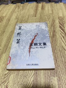 王朔文集：篇外篇