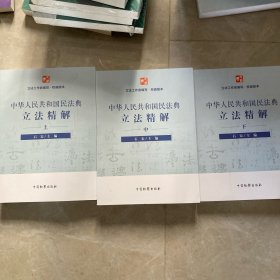 中华人民共和国民法典立法精解（套装上中下）