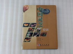 中国灵芝图鉴【吴兴亮、戴玉成 签名】书衣有磨损实物拍图