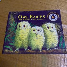 owl babies 儿童平装英文绘本