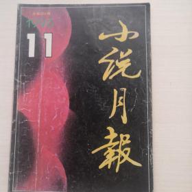 小说月报  1996.11