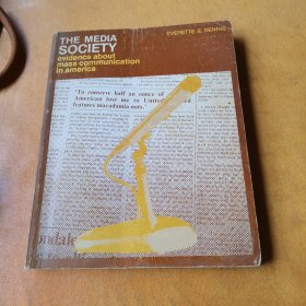 THE MEDIA SOCIETY