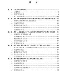 现货能源转型发展诉求下中国天然气市场分析柴建梁婷张晓空著科学出版社9787030704108