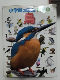 NATURE EARTHORIGIN 鸟 小学館の図鑑NEO