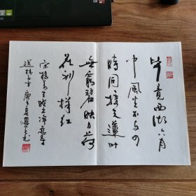 8开大本精品连环画名家毛笔书法册页：《海上名家书法集》 (册页长35厘米，宽25厘米)