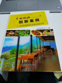 乡村旅游创新案例：乡村旅游操盘手实录与经验分享