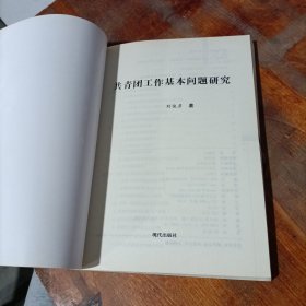 共青团工作基本问题研究