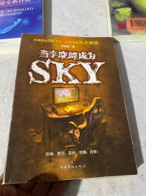 当李晓峰成为SKY