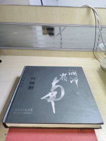 中国当代名家画集.润泽岭南