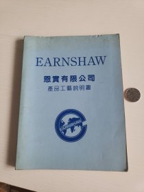 恩实有限公司产品工艺说明书（应该是皮革类化工产品）