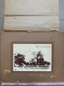民国早期“广东省城第一公园”原照带原油纸、原硬底板，尺寸如图。