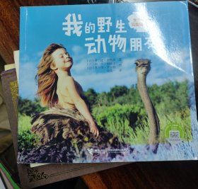 我的野生动物朋友