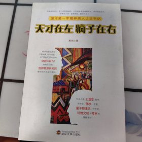 天才在左 疯子在右：国内第一本精神病人访谈手记