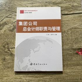 集团公司财务金融管理丛书：集团公司总会计师职责与管理