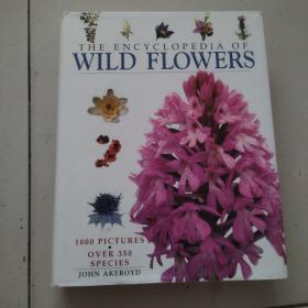 THE ENCYCLOPEDIA OF WILD FLOWERS